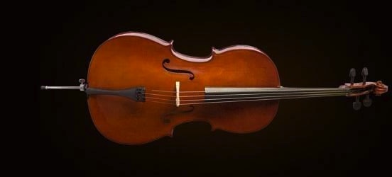 CELLO 4/4 SCALE +KILIF+YAY, KARARTILMIŞ AKÇAAĞAÇ B - CE160F44