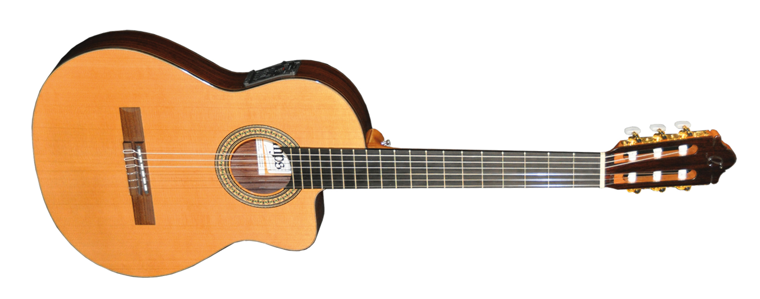ELEKTRO KLASİK GİTAR FISHMAN PRO BLEND - NAC2PRO