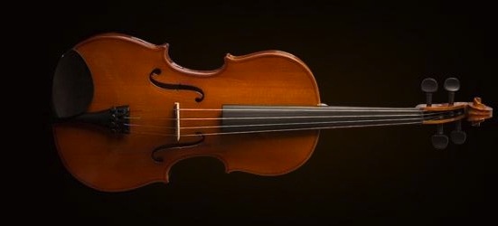 VİOLA KUTULU 15 5"(40cm) - VA16040