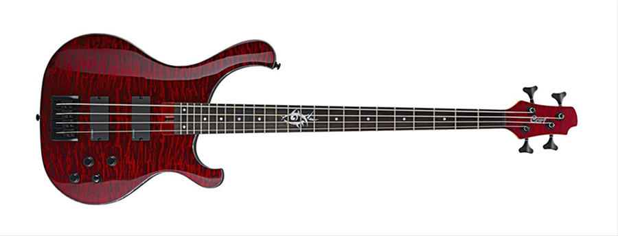 BAS GİTAR, VİŞNE ÇÜRÜĞÜ, EMG 35 HZ (H-H) - T74BC