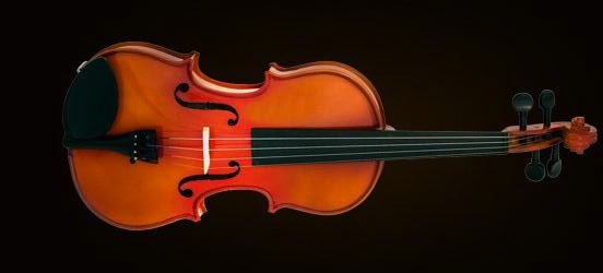 VİOLA KUTULU 15.5" (39,37cm) - VA400
