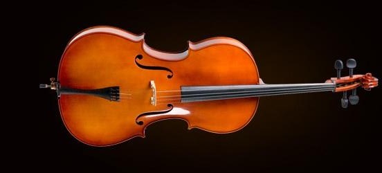 CELLO KILIFLI+YAY+REÇİNE, 1/2 SCALE, FRENCH STYLE, - CE400F12