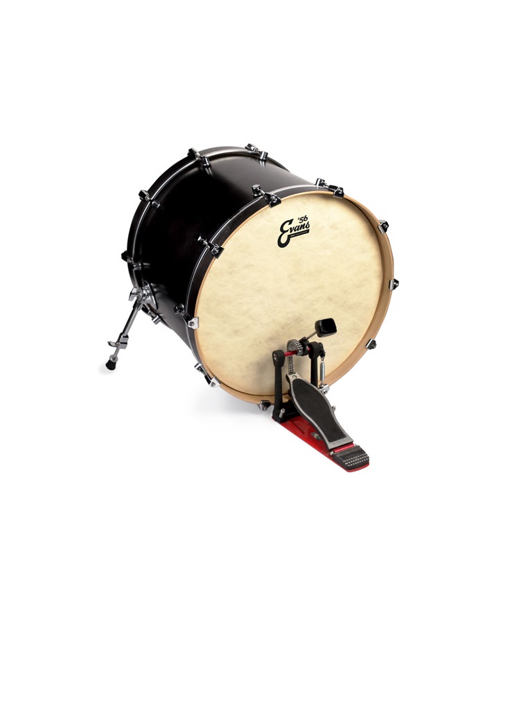 DERİ 18 EQ4 CALFTONE KİCK VE RESONANT SENTETİK RİN - BD18GB4CT