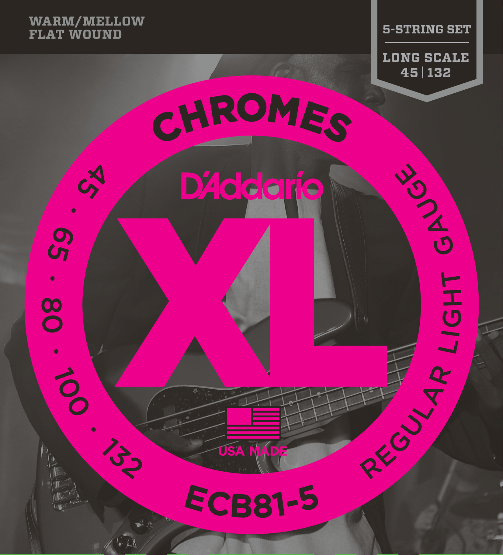 BAS GİTAR TEL SETİ, 5 TELLİ, CHROMES, REGULAR LIGH - ECB81-5
