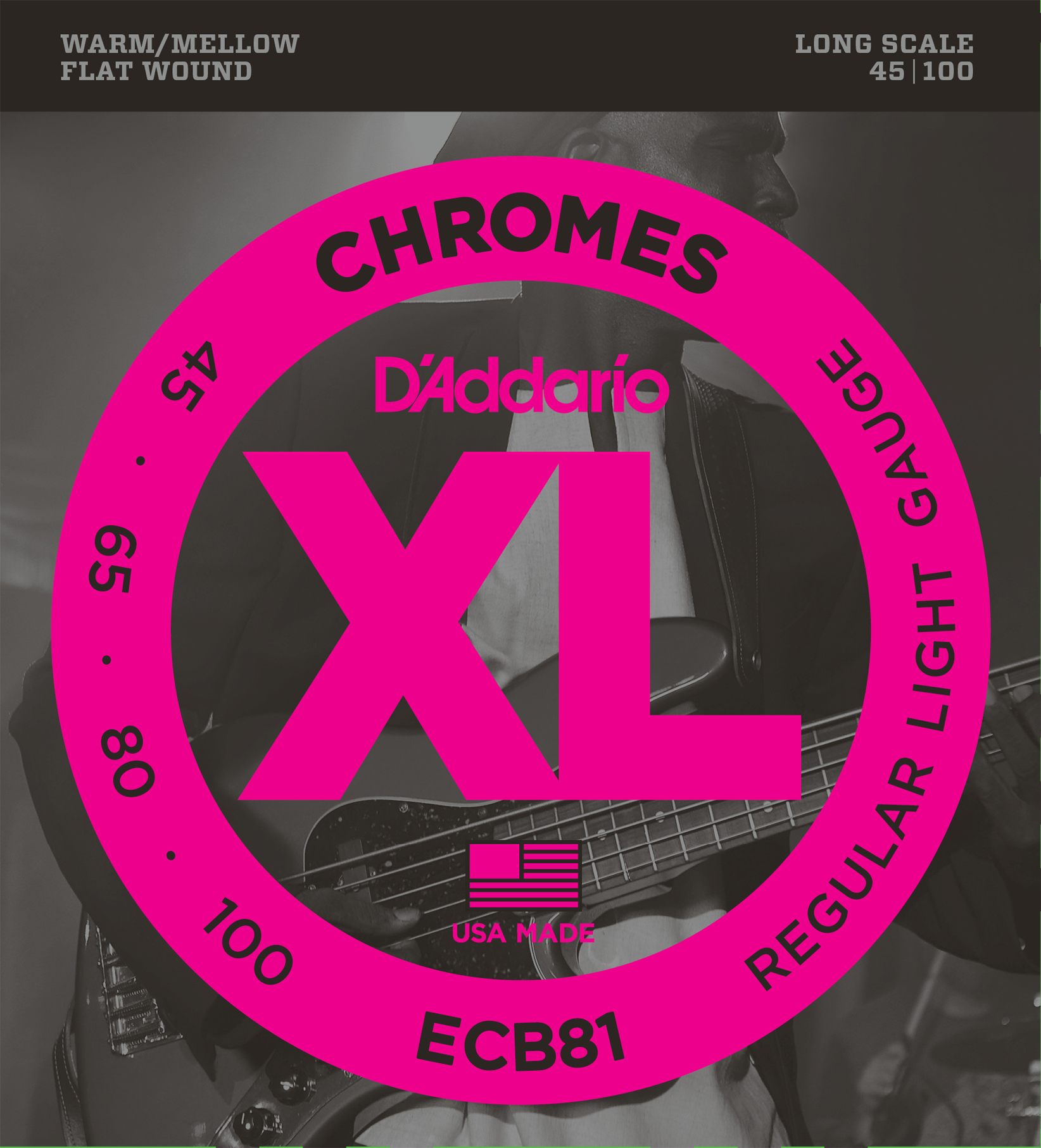 BAS GİTAR TEL SETİ, CHROMES, REGULAR LIGHT GAUGE ( - ECB81