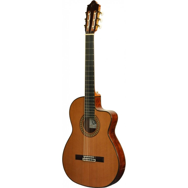 ELEKTRO KLASİK GİTAR SEDİR KAPAK FISHMAN PRO BLEND - NAC4